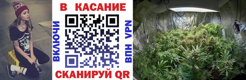 Виды наркотиков купить Чебоксары COCAIN МАРИХУАНА Мефедрон ГАШИШ