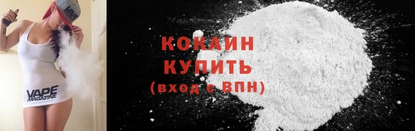 прущие грибы Бородино