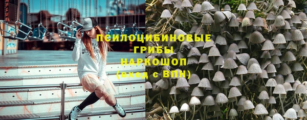 прущие грибы Бородино