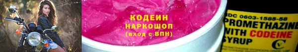 прущие грибы Бородино