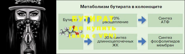 прущие грибы Бородино