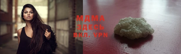 прущие грибы Бородино