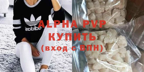 прущие грибы Бородино