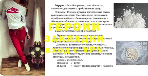 прущие грибы Бородино