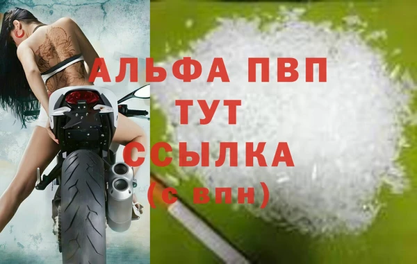 прущие грибы Бородино